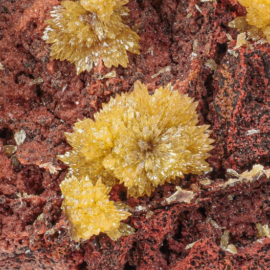 Hedyphane-Apex Mine | San Carlos | Manuel Benavides Mun. | Chihuahua | Mexico